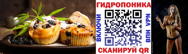 OMG маркетплейс  Городец  Еда ТГК конопля 