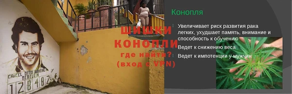 твердый Богданович
