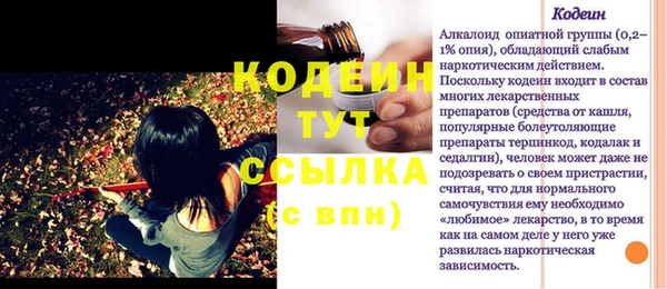 твердый Богданович