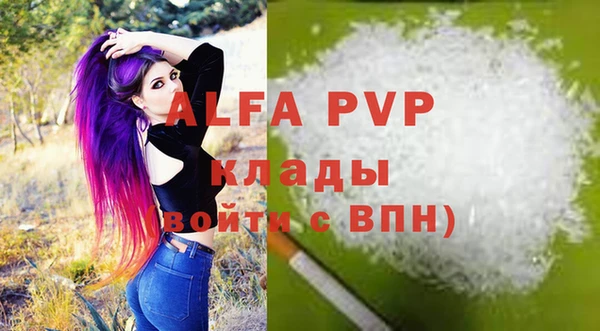 твердый Богданович