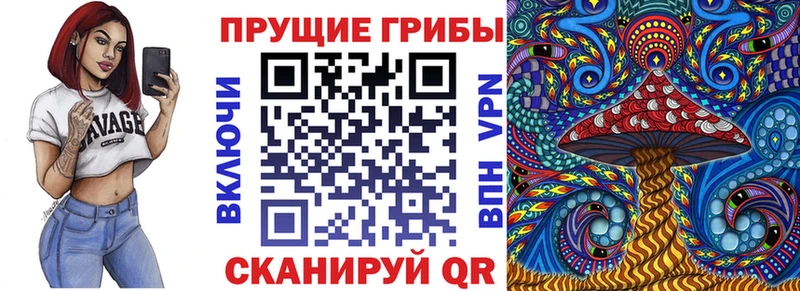 Галлюциногенные грибы Psilocybine cubensis  Городец 