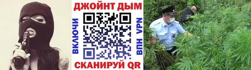 купить наркоту Городец Шишки марихуана MAZAR